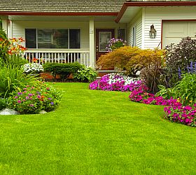 Simply Landscaping