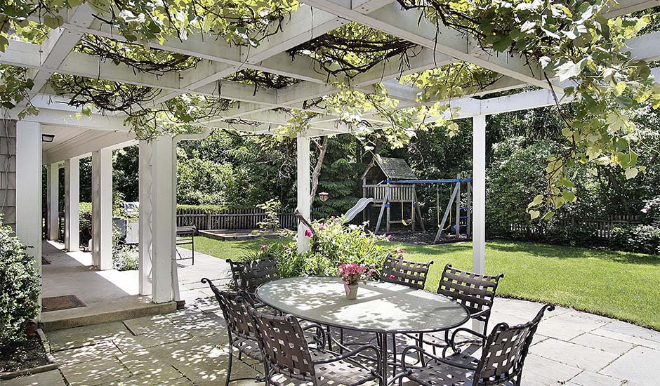 patio with vine growing in awning